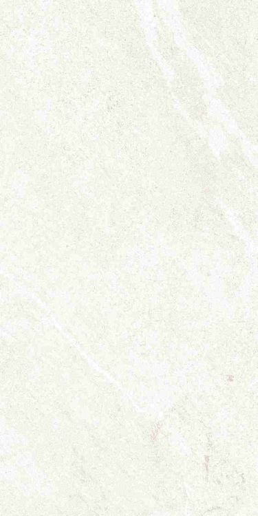 Dhara White Matte 12 x 24